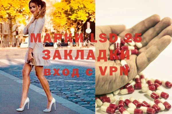 кокс Елизово