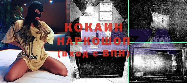 кокс Елизово