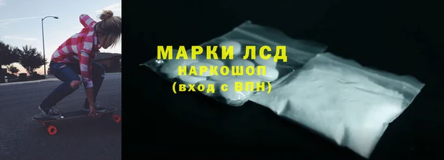 кокс Елизово