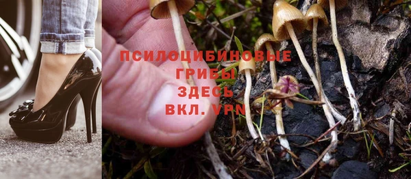 герыч Дмитровск
