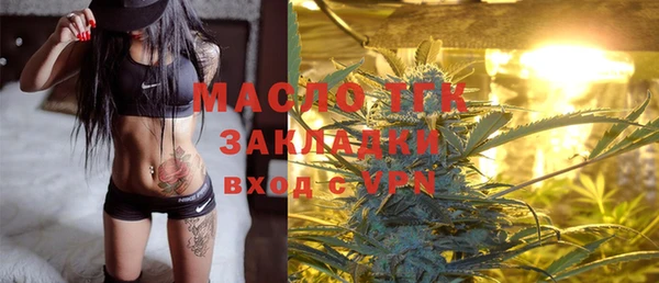 ГАЛЛЮЦИНОГЕННЫЕ ГРИБЫ Дмитриев