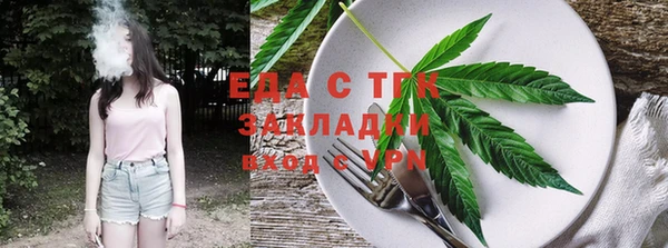 ГАЛЛЮЦИНОГЕННЫЕ ГРИБЫ Дмитриев