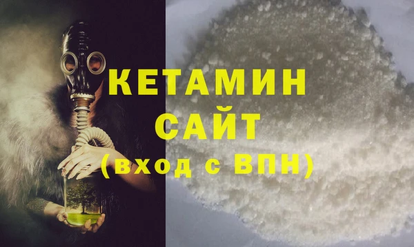 ГАЛЛЮЦИНОГЕННЫЕ ГРИБЫ Дмитриев