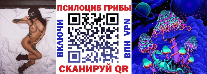 площадка клад  купить наркотики цена  Киржач  Галлюциногенные грибы Psilocybe 