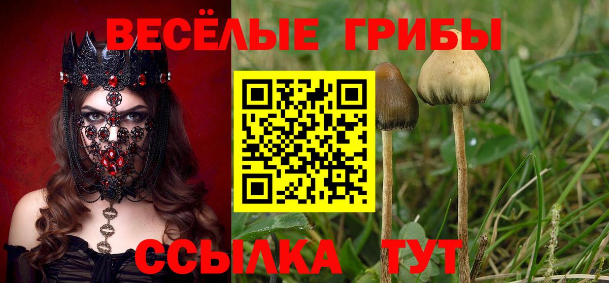 Псилоцибиновые грибы мицелий Киржач