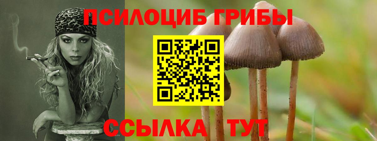 Киржач  Галлюциногенные грибы MAGIC MUSHROOMS  Вход с VPN 